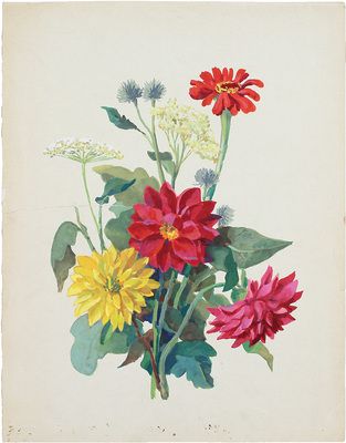 Тимофеева Татьяна Алексеевна. Георгины, цинния, золотой шар